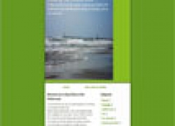 Pêche dorade Palavas