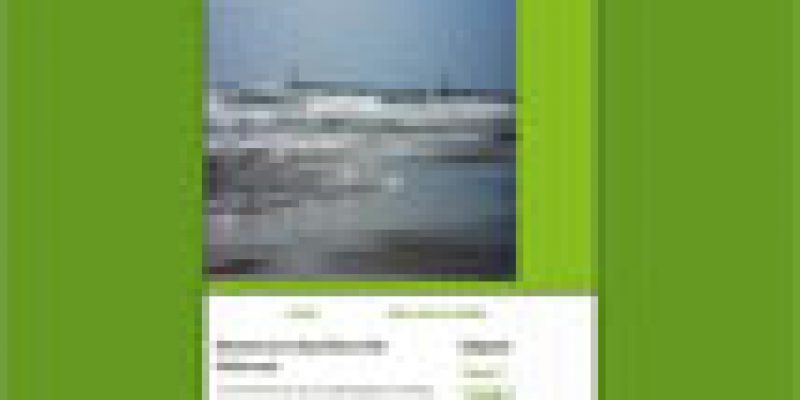 Pêche dorade Palavas