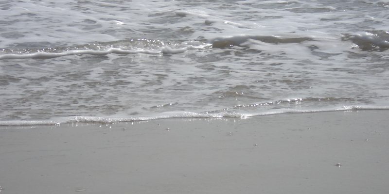 Pêche par mer agitée