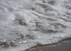 Pêche par mer agitée en juillet