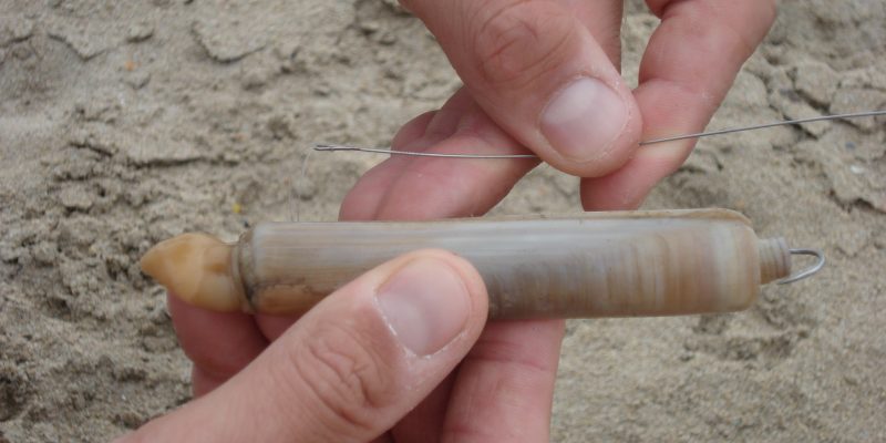 Pêche dorade de nuit