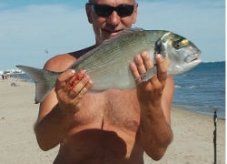 Vidéo pêche dorade en surfcasting