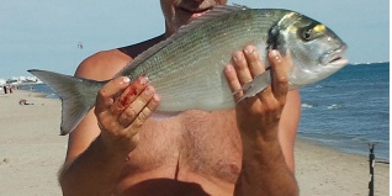 Vidéo pêche dorade en surfcasting