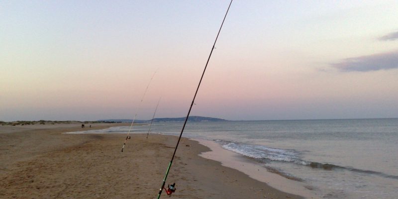 Pêche dorade en Aout