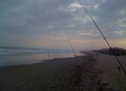 Peche loup de nuit en Mediterranee