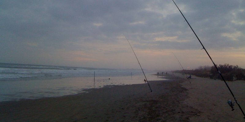 Peche loup de nuit en Mediterranee
