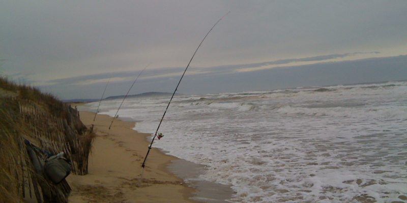 Pêche en mer en décembre
