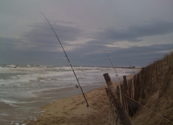 Pêche du loup en février