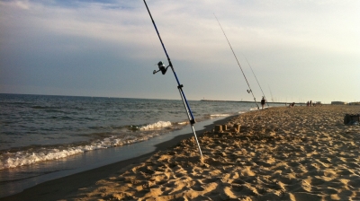 Un an plus tard…. Rien