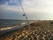 Un an plus tard…. Rien