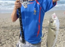 Pêche du Loup à la Grande Motte