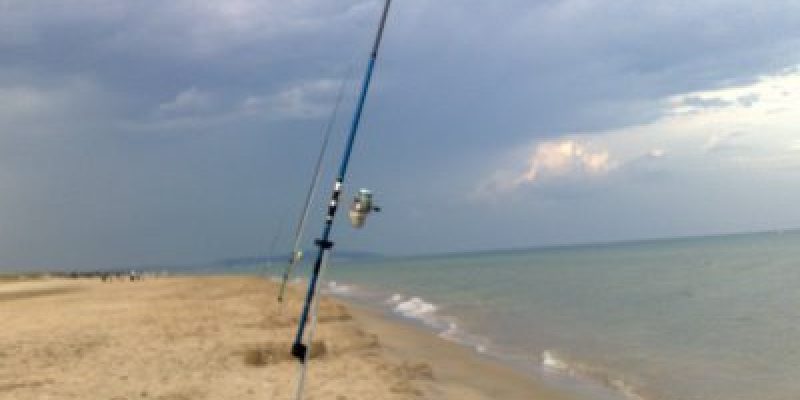 Peche en mer en juillet