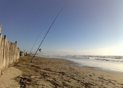 Championnat de France de surfcasting