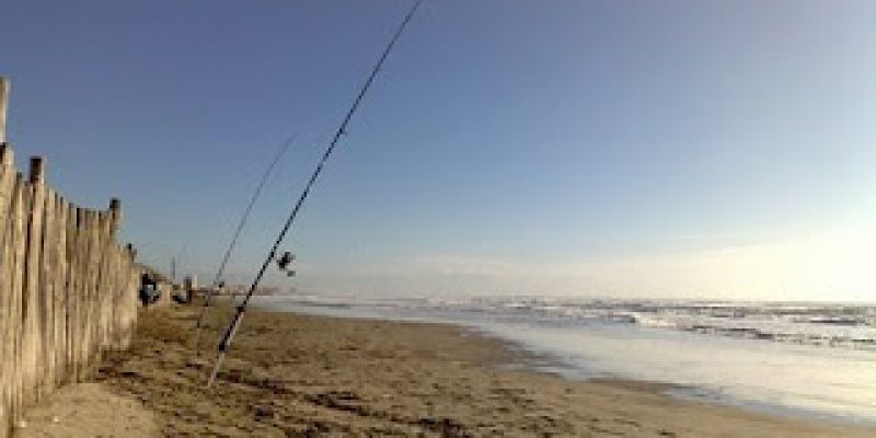 Peche du loup à la Grande Motte