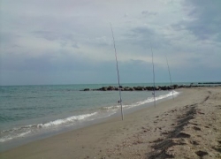 Peche sole mediterranée