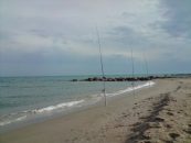 Peche sole mediterranée