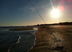 Pêche turbot méditerranée