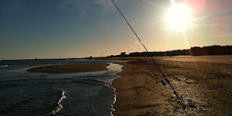 Pêche turbot méditerranée
