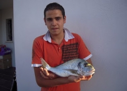 Pêche dorade au bibi