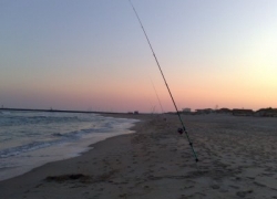 Marbré de mediterranée