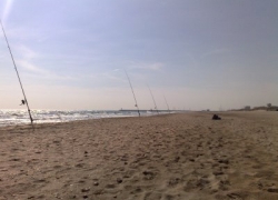 Peche dorade en juillet