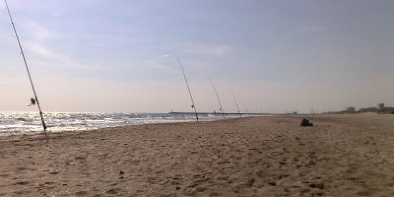 Peche dorade en juillet