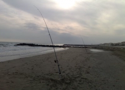 Peche du loup à Carnon