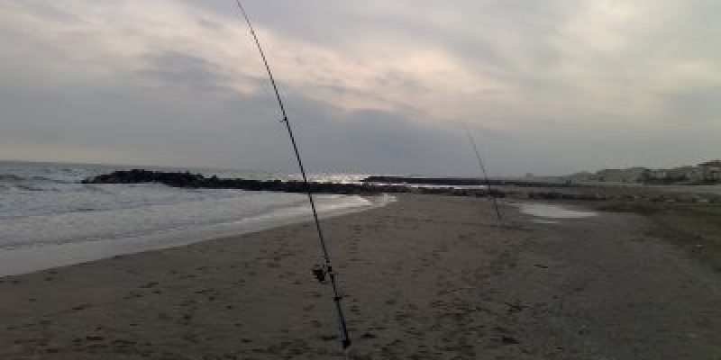 Peche du loup à Carnon