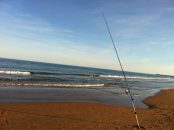 Sortie en surf léger en mai