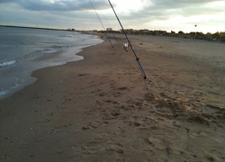 Pêche dorade par vent de nord