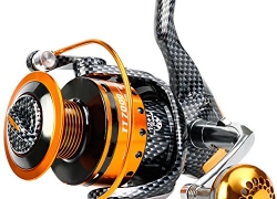 Moulinet Sougayilang 12+1 BB