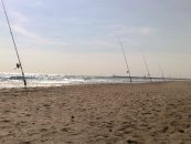 Surfcasting
